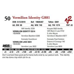 VERMILION IDENTITY G881