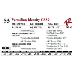 VERMILION IDENTITY G889