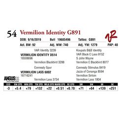 VERMILION IDENTITY G891