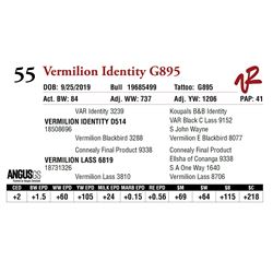 VERMILION IDENTITY G895