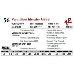 VERMILION IDENTITY G898
