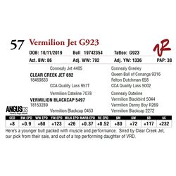 VERMILION JET G923