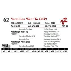 VERMILION WANT TO G849