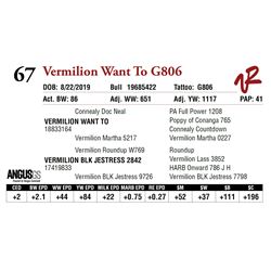 VERMILION WANT TO G806