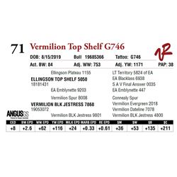 VERMILION TOP SHELF G746