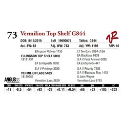 VERMILION TOP SHELF G844