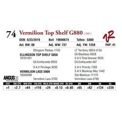 VERMILION TOP SHELF G880