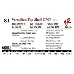 VERMILION TOP SHELF G707