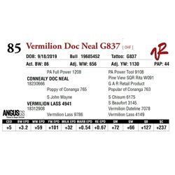 VERMILION DOC NEAL G837