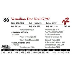 VERMILION DOC NEAL G797