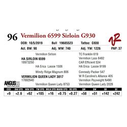 VERMILION 6599 SIRLOIN G930