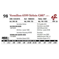 VERMILION 6599 SIRLOIN G807