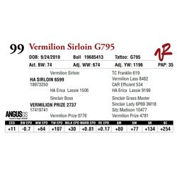 VERMILION SIRLOIN G795