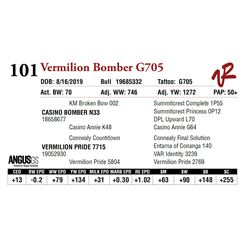 VERMILION BOMBER G705