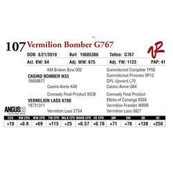 VERMILION BOMBER G767