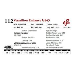 VERMILION ENHANCE G845