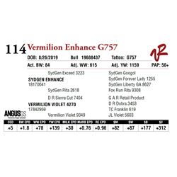 VERMILION ENHANCE G757