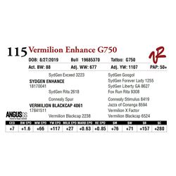 VERMILION ENHANCE G750