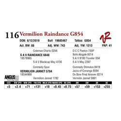 VERMILION RAINDANCE G854