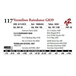 VERMILION RAINDANCE G839