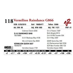 VERMILION RAINDANCE G866