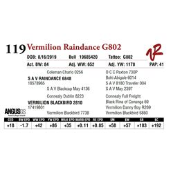 VERMILION RAINDANCE G802