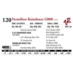 VERMILION RAINDANCE G800