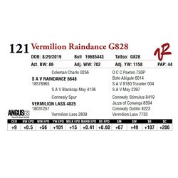 VERMILION RAINDANCE G828