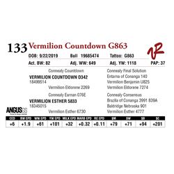 VERMILION COUNTDOWN G863