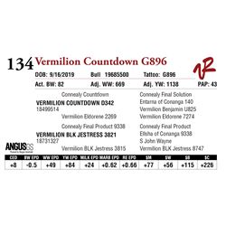 VERMILION COUNTDOWN G896