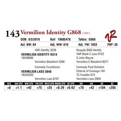 VERMILION IDENTITY G868