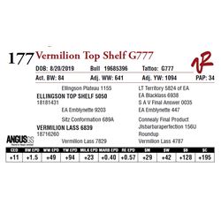 VERMILION TOP SHELF G777