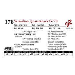 VERMILION QUARTERBACK G770