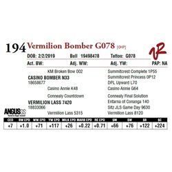 VERMILION BOMBER G078