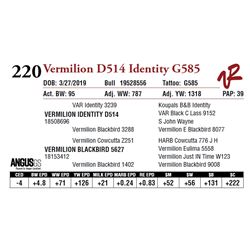 VERMILION D514 IDENTITY G585