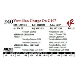 VERMILION CHARGE ON G107