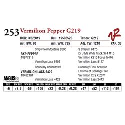 VERMILION PEPPER G219