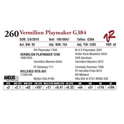 VERMILION PLAYMAKER G384