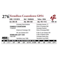 VERMILION COUNTDOWN G054