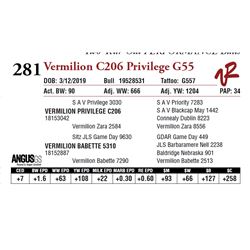 VERMILION C206 PRIVILEGE G55