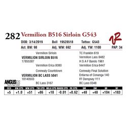 VERMILION B516 SIRLOIN G543