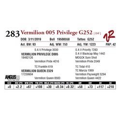 VERMILION 005 PRIVILEGE G252