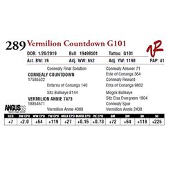 VERMILION COUNTDOWN G101