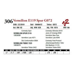 VERMILION E119 SPUR G072