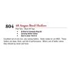 Image 1 : 40 ANGUS BRED HEIFERS