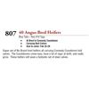 Image 1 : 40 ANGUS BRED HEIFERS