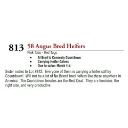 58 ANGUS BRED HEIFERS