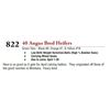 Image 1 : 40 ANGUS BRED HEIFERS