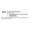 Image 1 : 65 ANGUS BRED HEIFERS