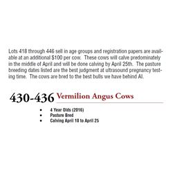 4 YR OLD VERMILION ANGUS COWS